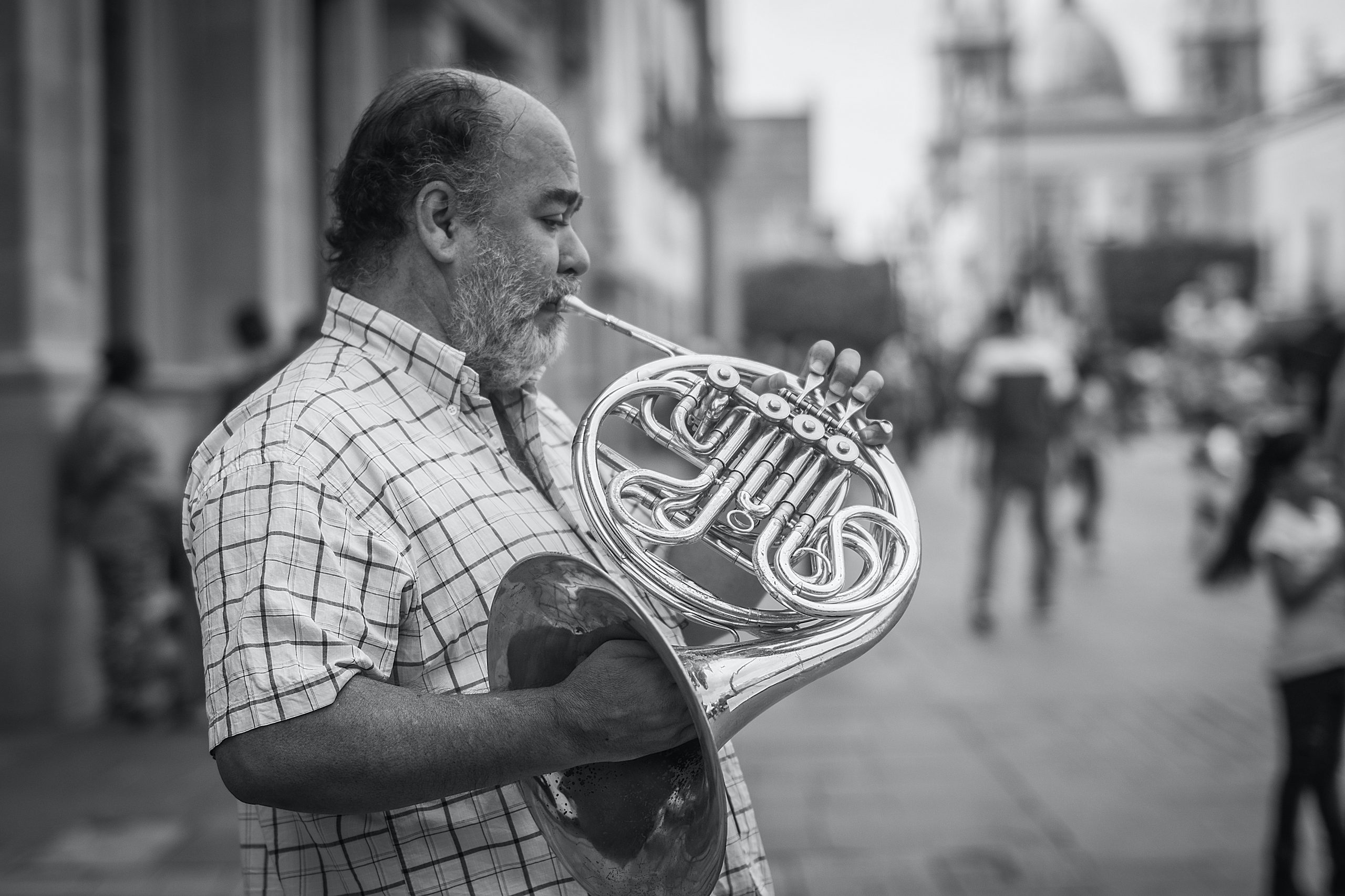 Man playing the French Horn